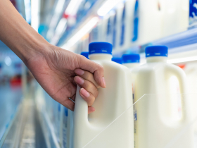手搖飲鮮奶茶要改叫「牛乳茶」了！鮮乳、牛乳、保久乳差在哪？不符規定最高罰400萬…乳飲品比較一表看