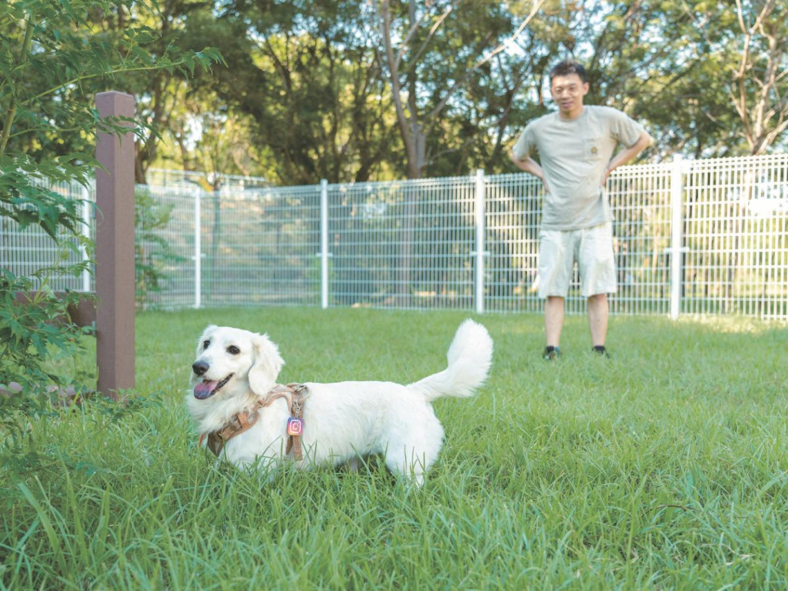 因地制宜的人寵空間 公園放風去！最貼心的毛孩專屬樂園