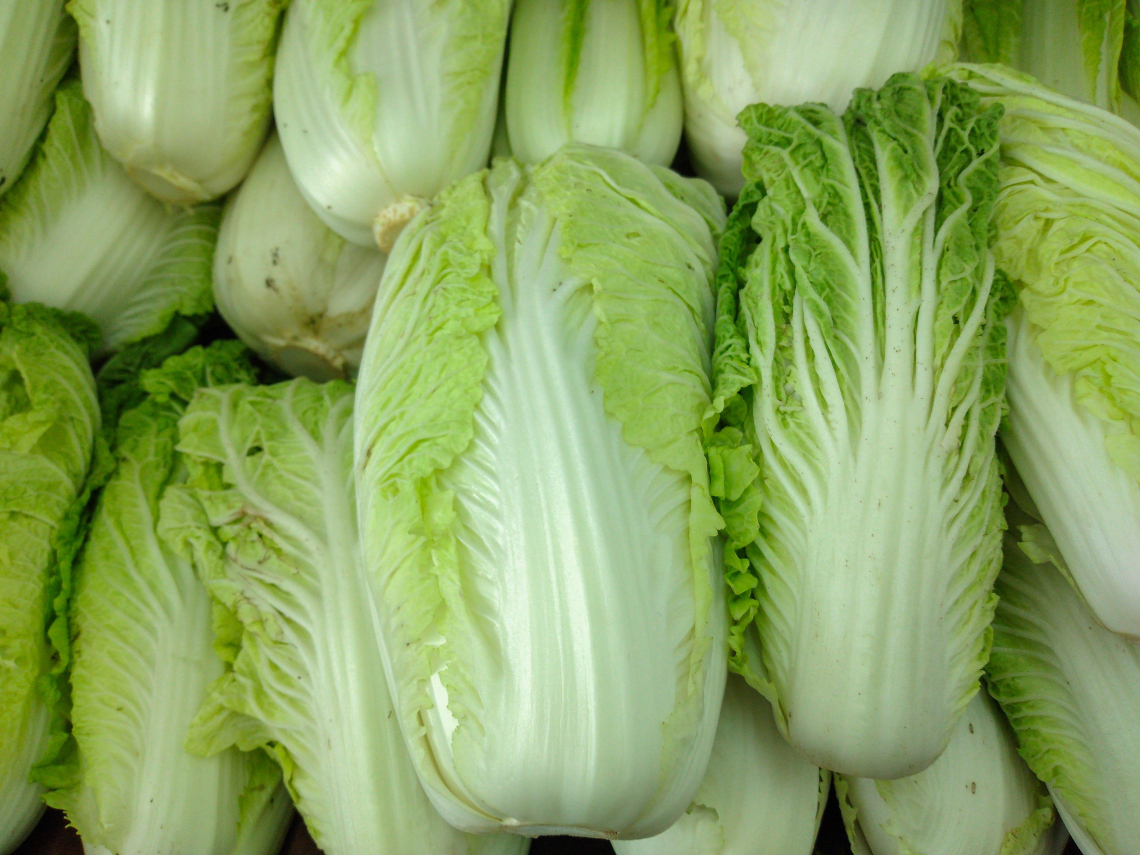 中國「甲醛白菜」嚇壞台日韓，整顆泡「福馬林致癌物」…泡菜也有中？台灣有進口？專家教怎麼洗菜安全吃