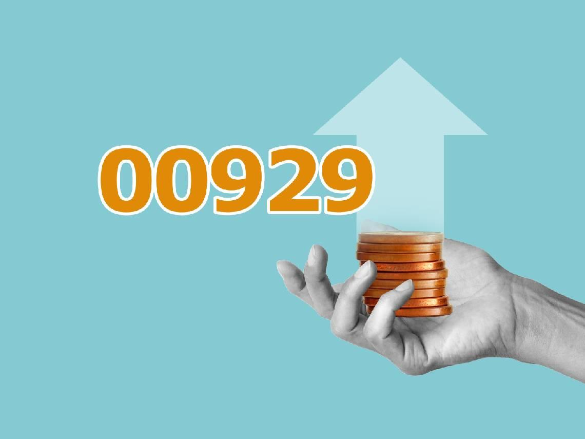 00929買100張，每月可領多少錢？她從月領8千變3萬8！近1年股價18→29元、價差賺逾百萬...現在還能進場？