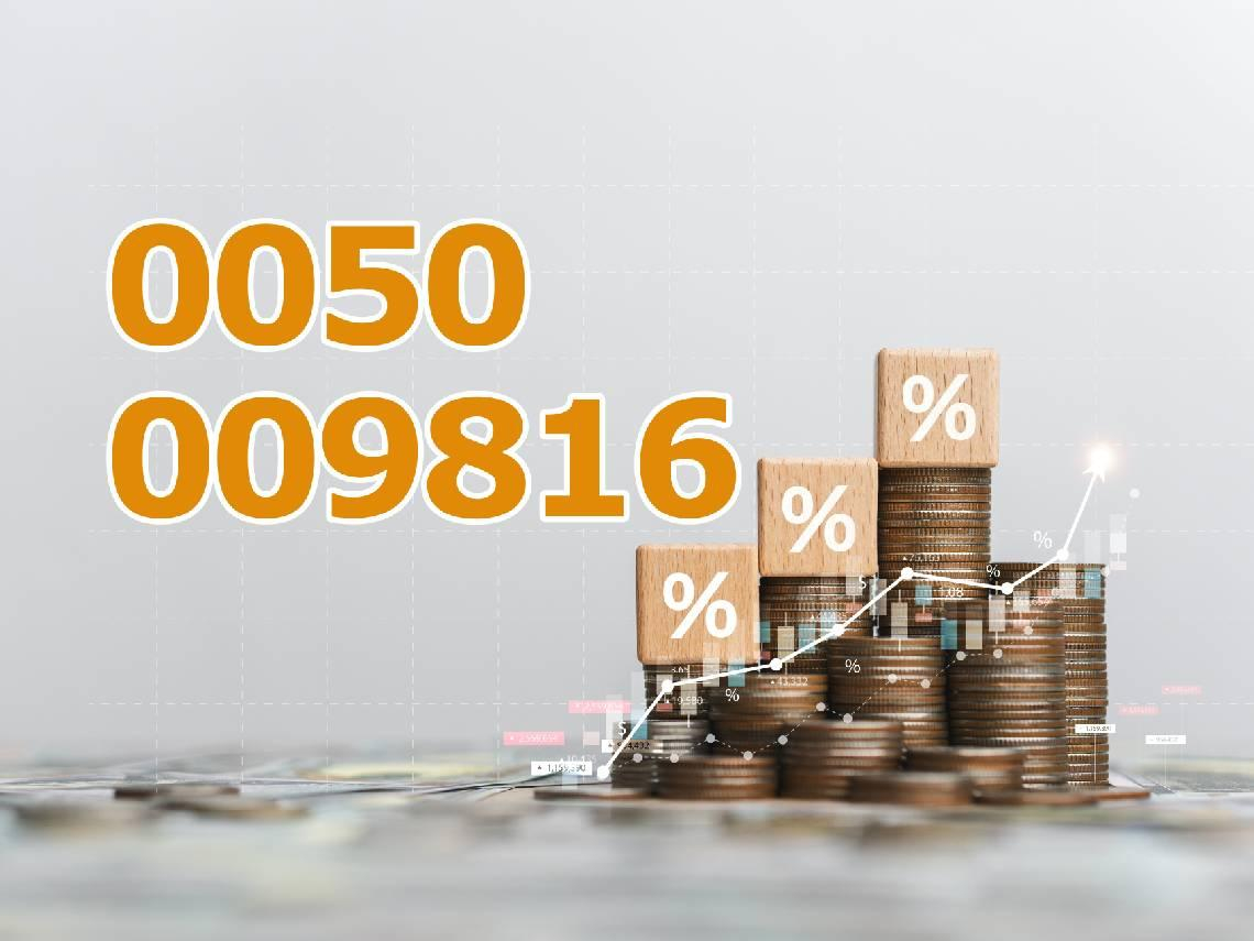 009816 VS 0050選誰？半年報酬差6.1％，009804還跑更快！3檔ETF一比才懂：0050竟敗在這件事