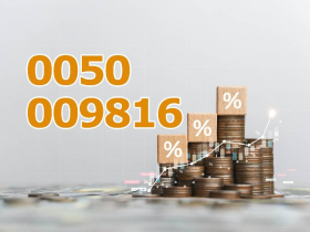 009816 VS 0050選誰？半年報酬差6.1％，009804還跑更快！3檔ETF一比才懂：0050竟敗在這件事
