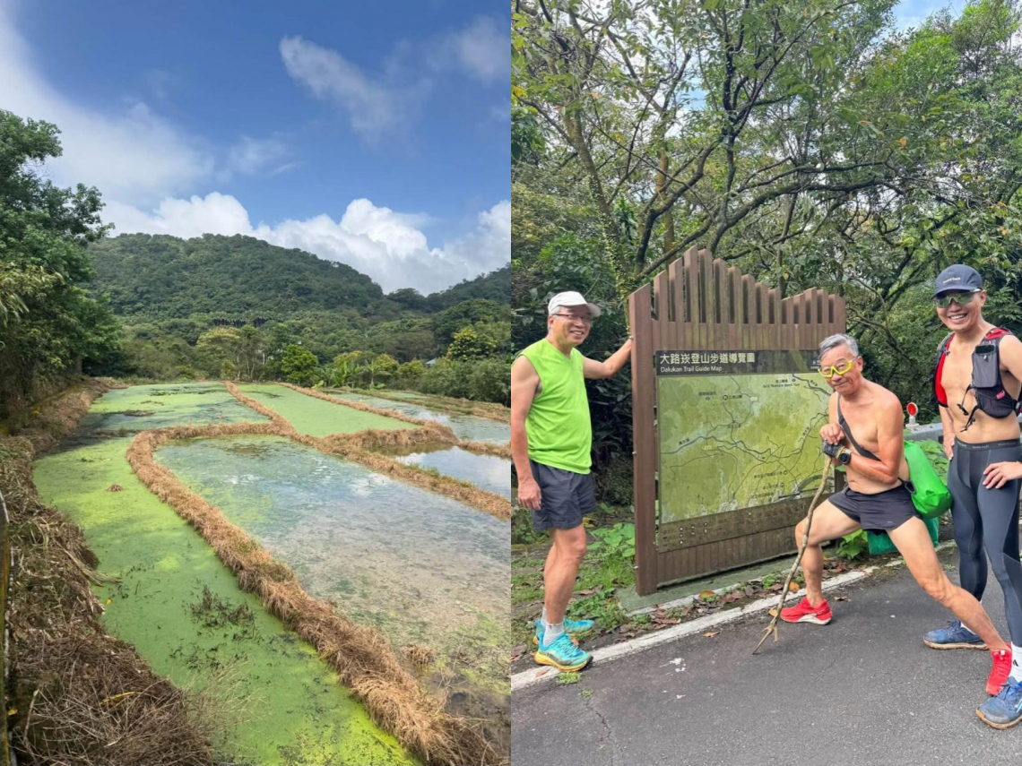 竹子山、金山怎麼玩？「這條古道」重見天日！謝金河沿著水圳小徑走，驚見葵扇湖梯田生態美景