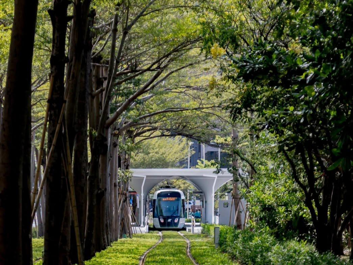 高雄輕軌打造綠色隧道、樹洞車站，「以站就樹」提高城市綠覆率