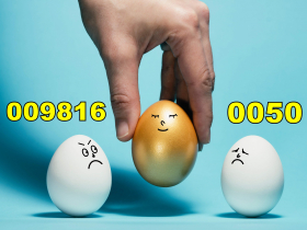 009816、0050、00878…台股ETF這3檔人氣績效雙豐收，有閒錢選誰好？達人：複利秘密藏在時間裡
