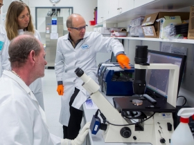 職場公民》這裡，沒有工作守則、不必事事回報  尊重不同個體  羅氏給員工最大決策權