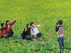 走春  來場量身打造的小旅行