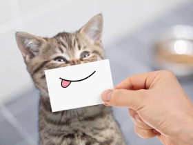 名人回話》孫正義、林志玲……靠這招解圍 一句話從惹毛變加分  用幽默感就對了