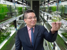 台灣福蝦摸索5年  卡位精品水族事業 一隻小蝦賣12萬  門外漢闖出13倍業績