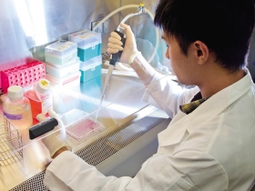 未來最受關愛的產業 三方向篩選優股 卡位選後生技行情  中長線標的浮現