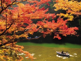 【圖】 京都．紅葉狩
