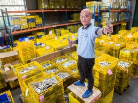 萬能鉗小尖兵》共茂產品規格、專利數量  居亞洲之冠 Discovery節目指定工具  讓它營收11年翻5倍