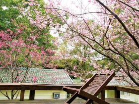 療癒身心的周末小旅行  走！我們上山去