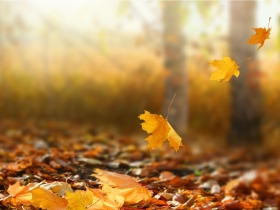 失溫經濟來了！