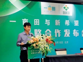 誰買百萬噸洋蔥？ 中國「一畝田」吹爆牛皮