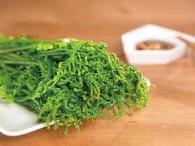 破除網路謠言  專家還蕨類植物清白  過貓致癌？原來是誤會一場