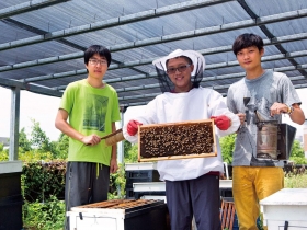 嗡嗡嗡，全球「蜂」什麼？