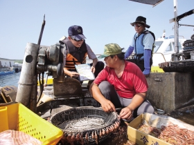 護漁有解》第一線保育人員向漁業署喊話 搶救本土魚種  三件事不能再等