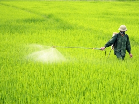 茶安風暴》問題有解 宜蘭早就在做 買農藥須開「處方箋」