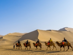 來一場絲路之旅吧！