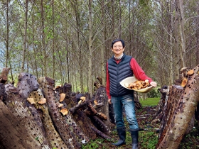 這些年，土地教會他們的事 名人瘋耕種 專業經理人王星威 預約第二人生田園夢 王先生有塊地 四年實驗失敗打不退