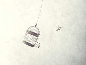 管太多！台灣的「鳥籠大學」危機