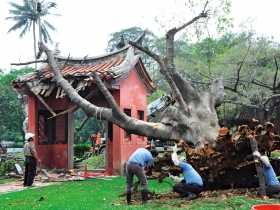 進步觀念23．去年，每個月就有一處古蹟遭到毀損．保護文化資產  懲罰與預防並進