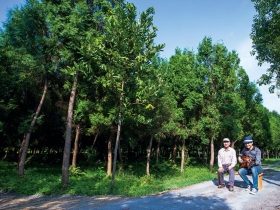 歲月靜好．我的園子