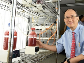 辜成允投資抓碳養藻  一石三鳥為台泥強轉型