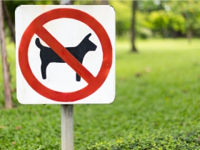 「華人與狗不可入內」解謎