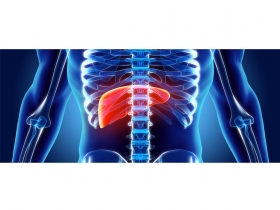 每8人就有１人帶原、感染 卻有３成未就醫 及早檢查 別讓肝炎變肝癌