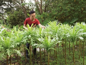 採集料理  原始真滋味