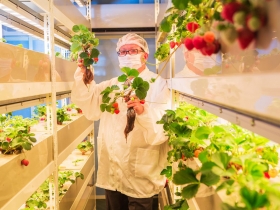 欣興電子》印刷電路板龍頭  跨足種蔬果 11人小團隊  在黑手工業種出開心農場