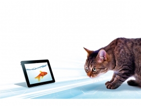 中國電子供應鏈 攻台計畫(摘要)