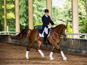 馬背上的自信與精緻