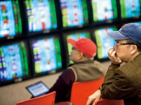 跟著除權息行情找標的 攻守兼備的二十檔高股息殖利率股