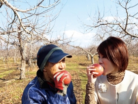 書摘：陳雅琳核災觀察》種出最甜蘋果 卻不敢說「一級棒」自卑 像核災的輻射塵如影隨形