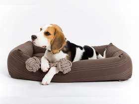 寵物的奢華異想