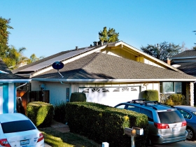 顛覆規則的平民綠色金礦（摘）