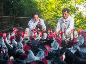 山林間的幸福野味