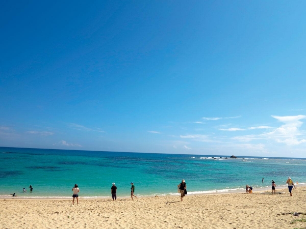 遺落在太平洋上的寶石 今周刊