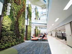 台積電搶人出新招 打造Google級辦公室