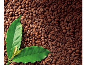 堅持一口的精緻