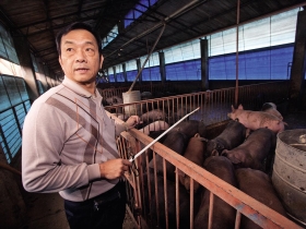 名廚、名店背後的無名英雄