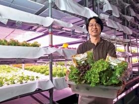 不看天吃飯 用ＬＥＤ燈種出平價農產品 野菜工房 打造全球最大有機蔬菜廠