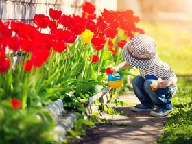 春天真的來了嗎？