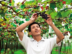 留德果農賴偉志 點亮休閒農業笑顏