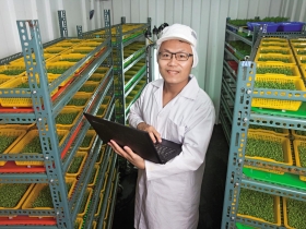 台大七年級生棄百萬年薪 置身貨櫃種芽苗菜