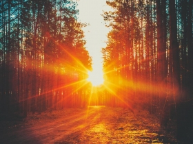 豁然開朗迎新年