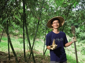 堅持「天然」路線 美術老師種出冠軍筍